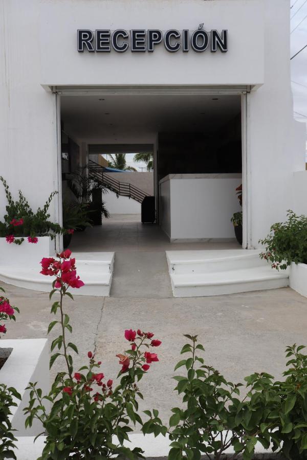Hotel Jazuli San José del Cabo Εξωτερικό φωτογραφία